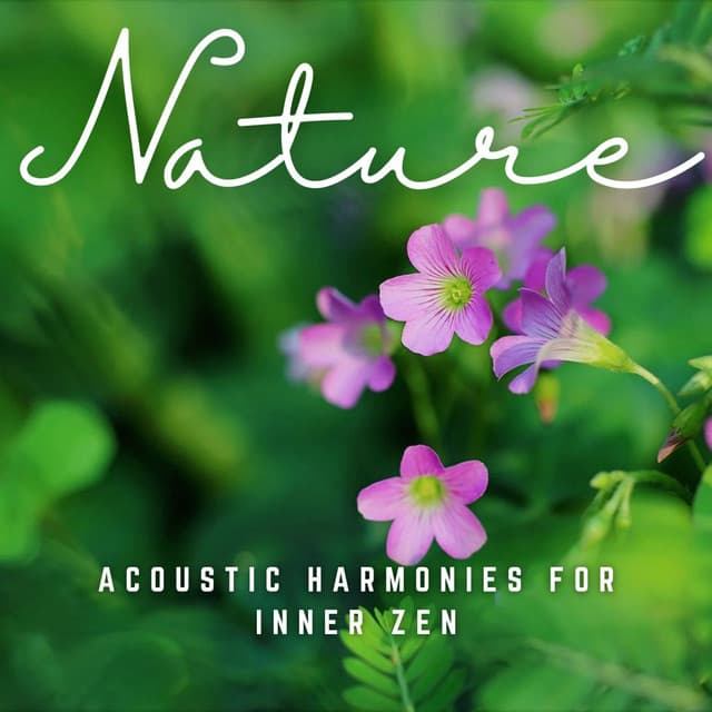 Soothing Meditations: Acoustic Harmonies for Inner Zen - Meditation King