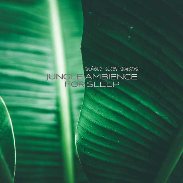 Jungle Sleep Sounds