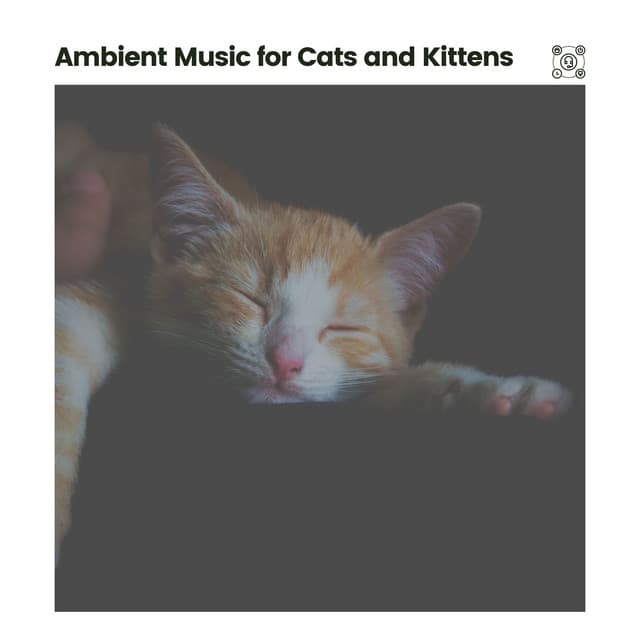 Ambient Music for Cats and Kittens - Ambient Music Therapy