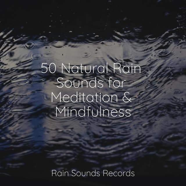 50 Natural Rain Sounds for Meditation & Mindfulness - Sonido Del Bosque y Naturaleza
