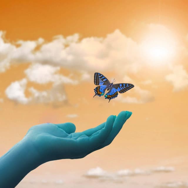 Backdrop for Sweater Weather - Astonishing Piano Duo - Jazz Bossanova Playlist