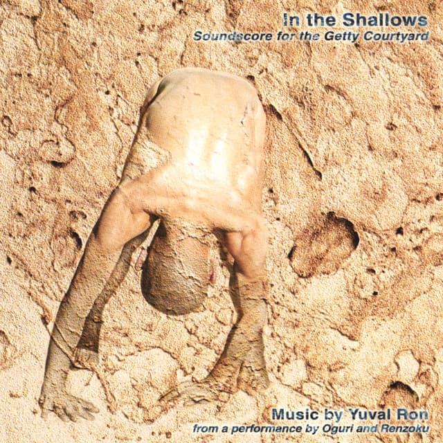 In The Shallows - Yuval Ron