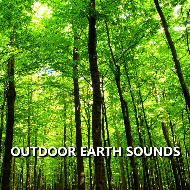 Outdoor Earth Sounds - Earth Sounds