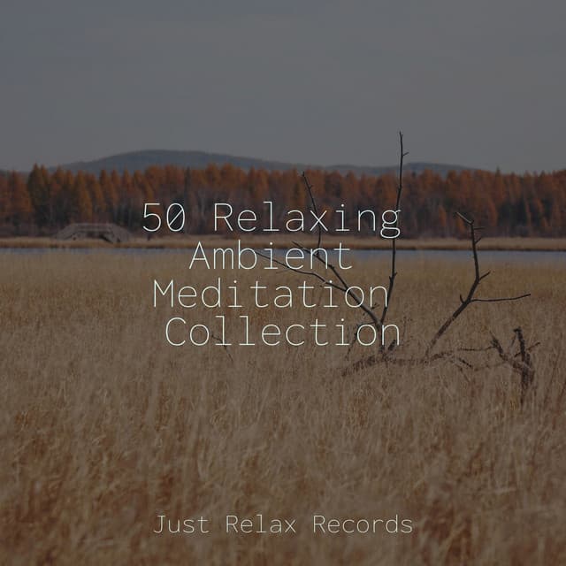 50 Relaxing Ambient Meditation Collection - Relaxation