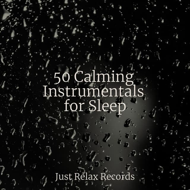 50 Calming Instrumentals for Sleep - Kinderliederbande