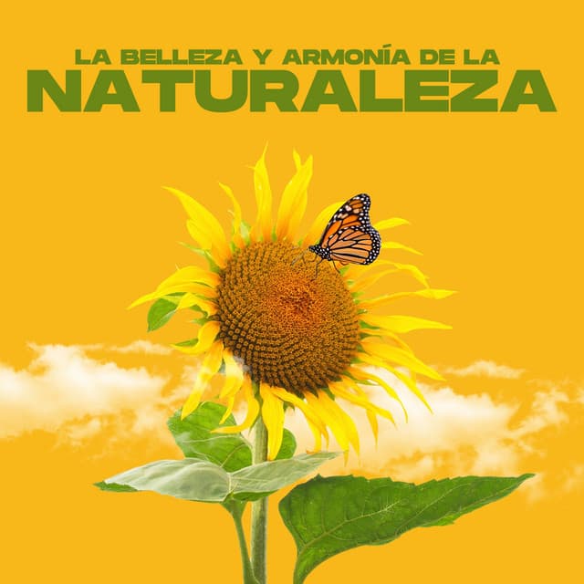 La Belleza y Armonía de la Naturaleza - Sonidos Relajantes de Naturaleza