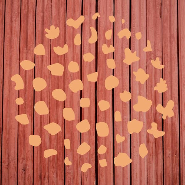 Jazz Organ - Bgm for Green Moments - Lazy Sunday Jazz