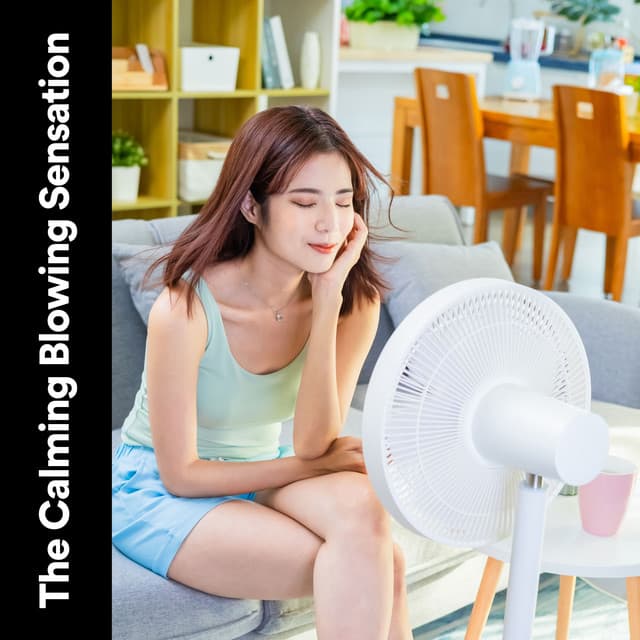 The Calming Blowing Sensation - Box Fan Sounds