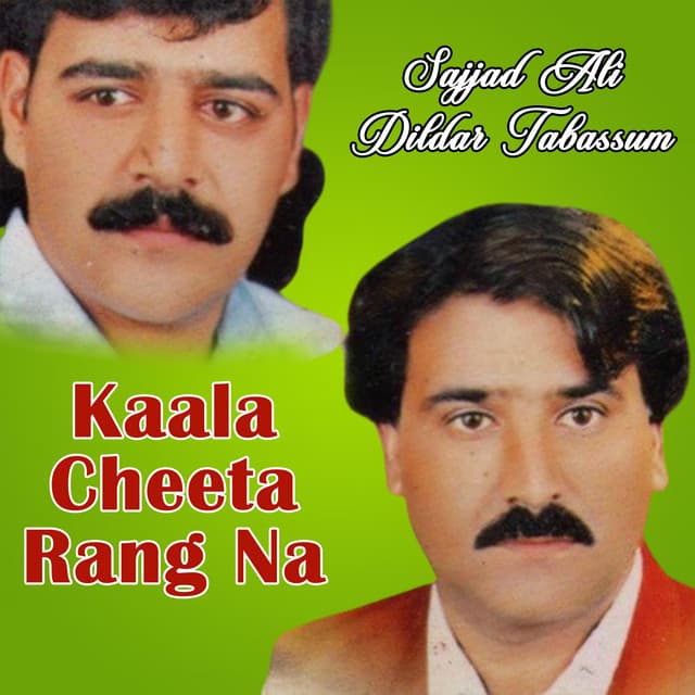 Kaala Cheeta Rang Na - Sajjad Ali