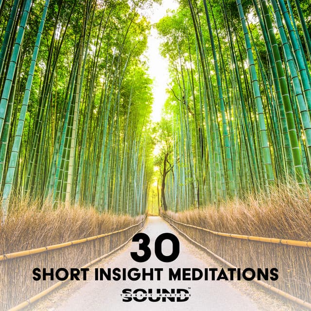 30 Short Insight Meditations: Healthy Mind, Cultivate More Calm Within, Meditation Practice with Headspace, Meditation to Let Go of Stress & Acceptation - Sound Therapy Masters