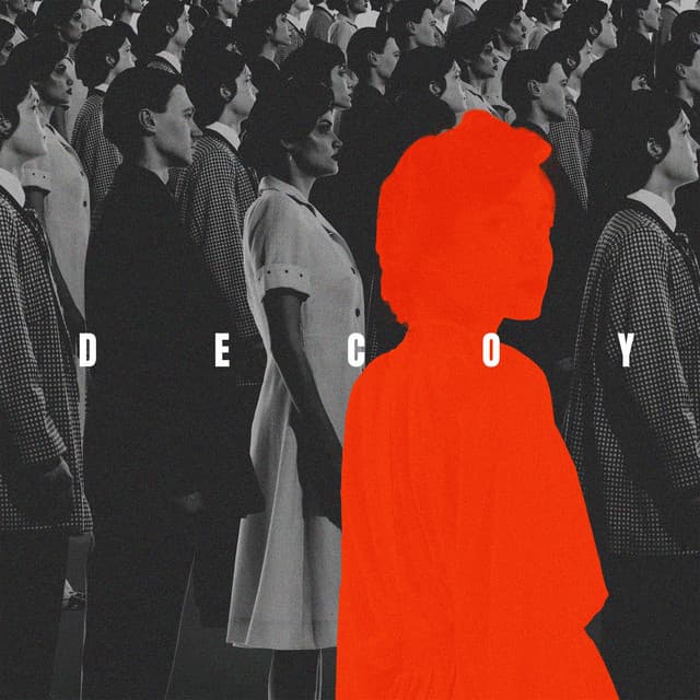 Decoy - Michael Tedstone