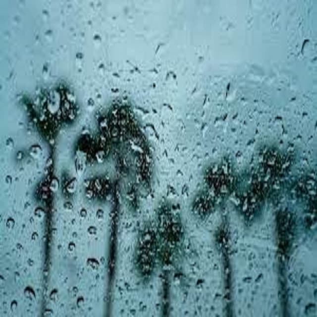 Gentle Rain and Angry Thunder Storms - Lluvia