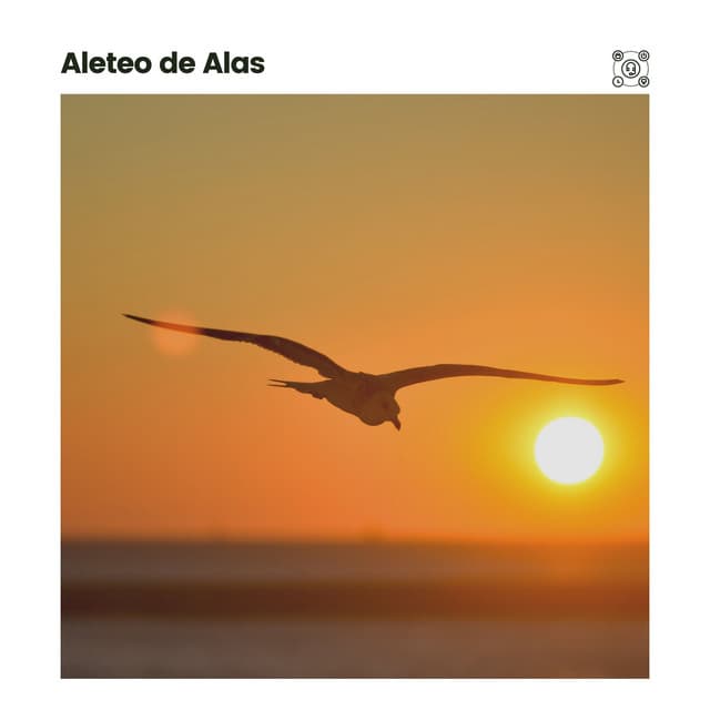 Aleteo de Alas - Sonidos de ruido blanco