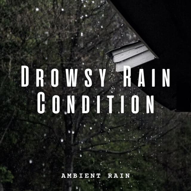 Ambient Rain: Drowsy Rain Condition - Hawaiian Explosion