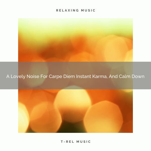 A Lovely Noise For Carpe Diem Instant Karma, And Calm Down - Sleepful Noises