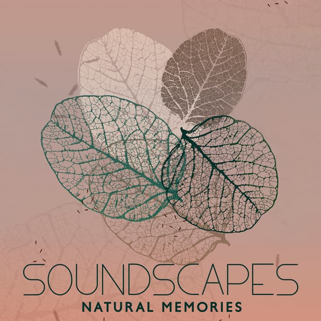 Soundscapes: Natural Memories - Healing Power Natural Sounds Oasis