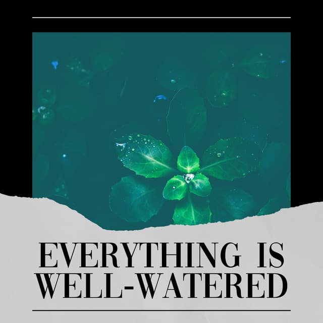 Everything Is Well-watered - Rainforest Sounds