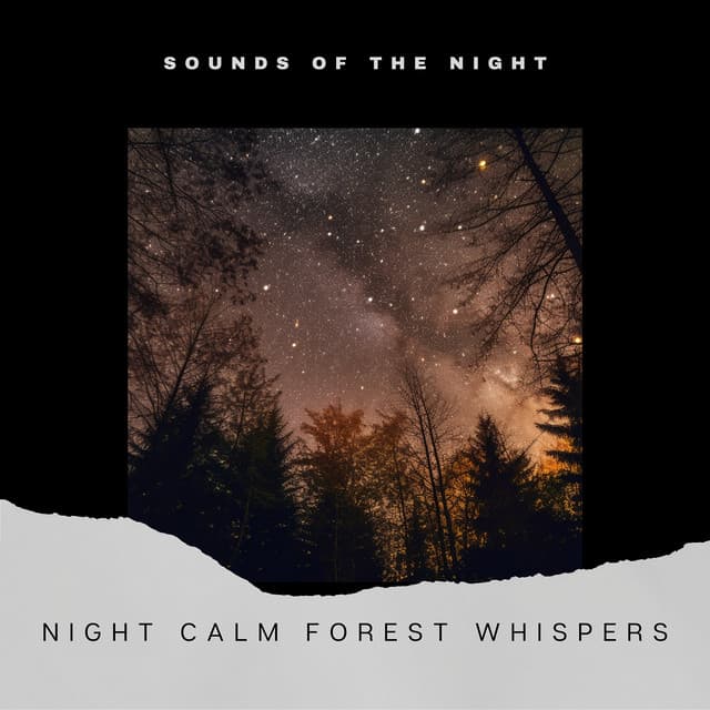 Night Calm: Forest Whispers - Sounds of the Night