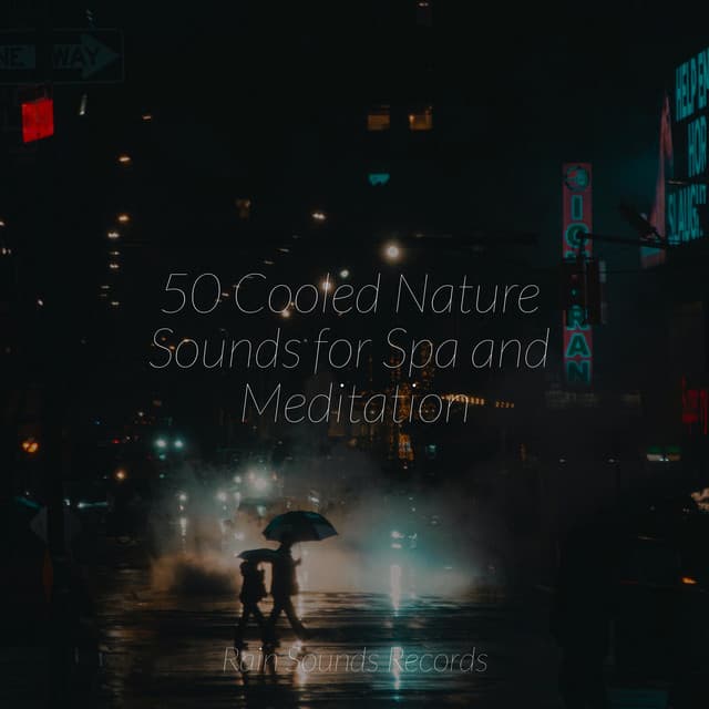 50 Cooled Nature Sounds for Spa and Meditation - Cascada de Lluvia