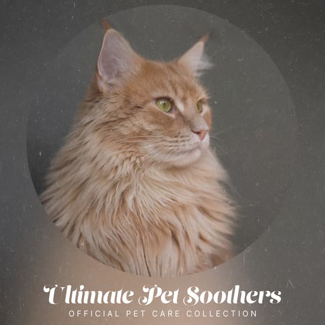 Ultimate Pet Soothers - Official Pet Care Collection