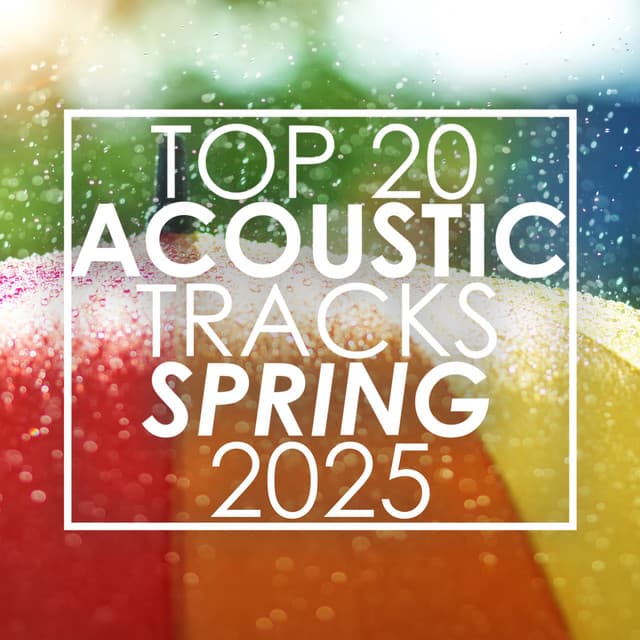 Top 20 Acoustic Tracks Spring 2025 - Guitar Tribute Players