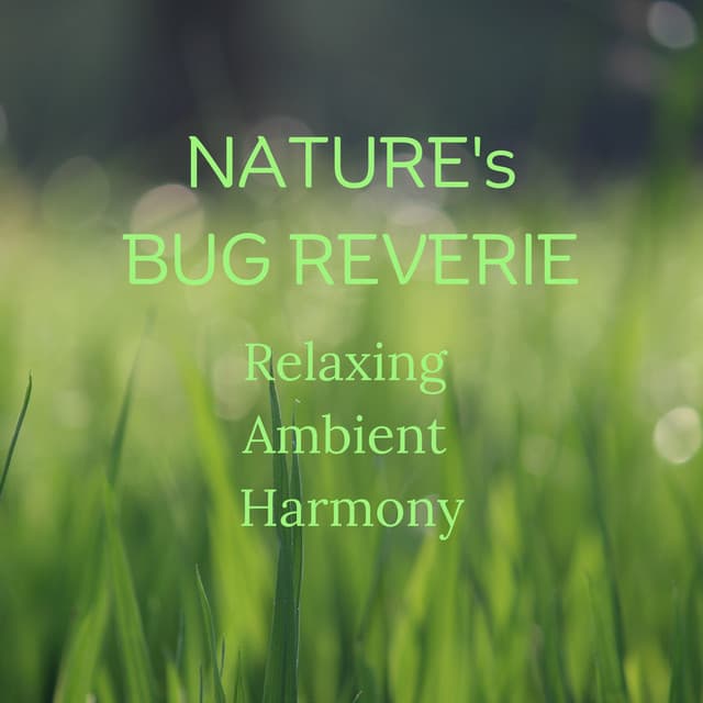 Nature's Bug Reverie: Relaxing Ambient Harmony - Nature TV