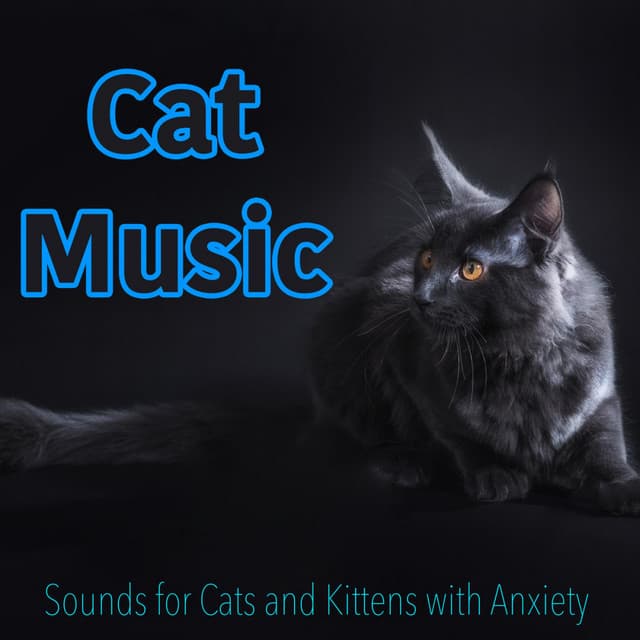 Cat Music - Sounds for Cats and Kittens with Anxiety - RelaxMyCat