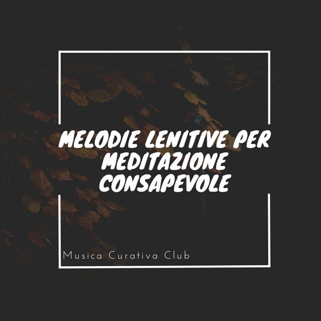 Melodie lenitive per meditazione consapevole - Musica Curativa Club