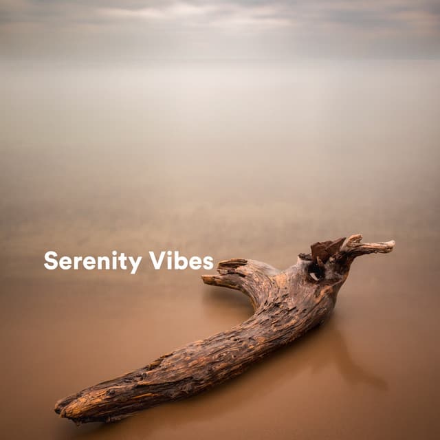 Serenity Vibes - Native Flute Ensemble