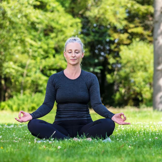 Raindrop Serenade: Binaural Meditation Rainfall Calm - Rain Sounds Collection