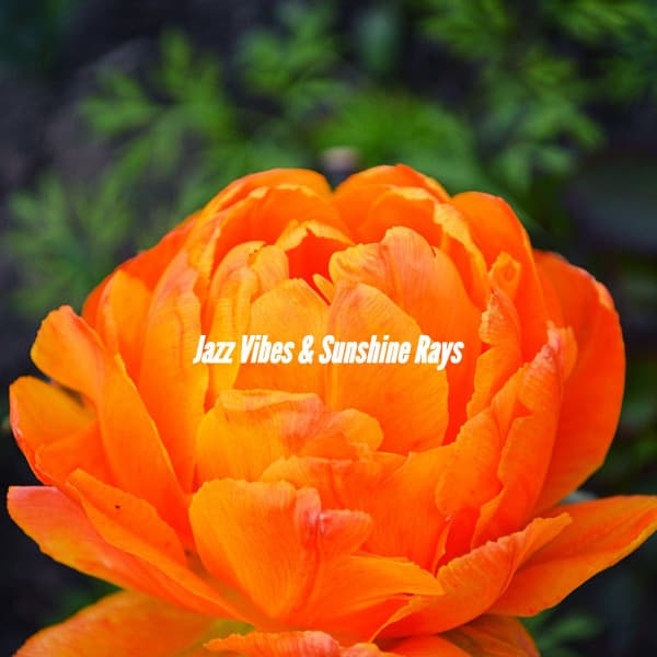 Jazz Vibes & Sunshine Rays - Hotel Lounge Soundtracks