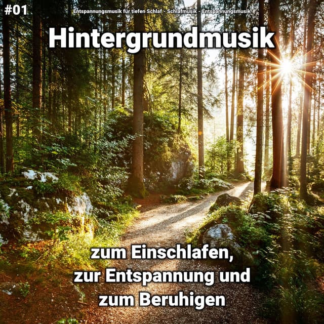 #01 Hintergrundmusik zum Einschlafen, zur Entspannung und zum Beruhigen - Schlafmusik