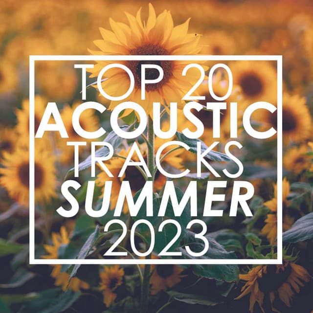 Top 20 Acoustic Tracks Summer 2023 - Guitar Tribute Players