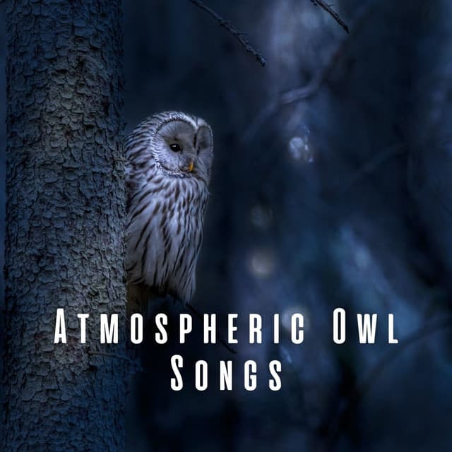 Atmospheric Owl Songs - Singing Bowls