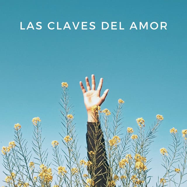Las Claves Del Amor - Relajación Piano