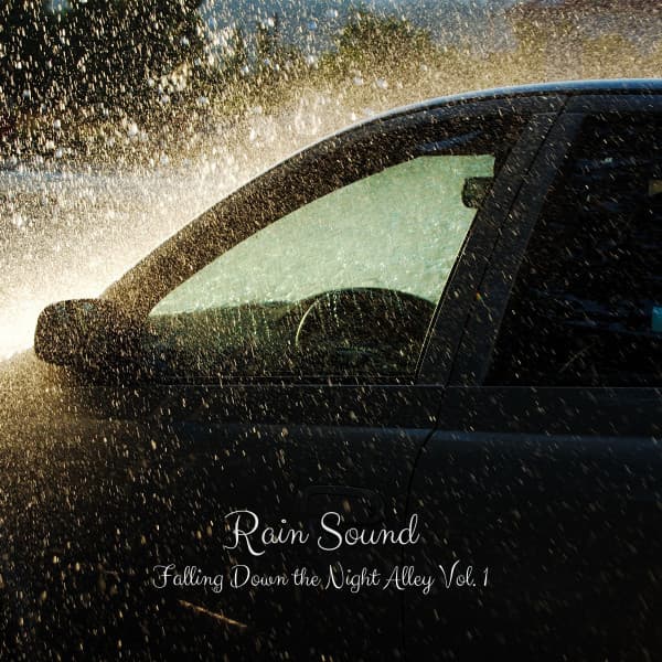 Rain Sound: Falling Down the Night Alley Vol. 1 - Spa Music Station