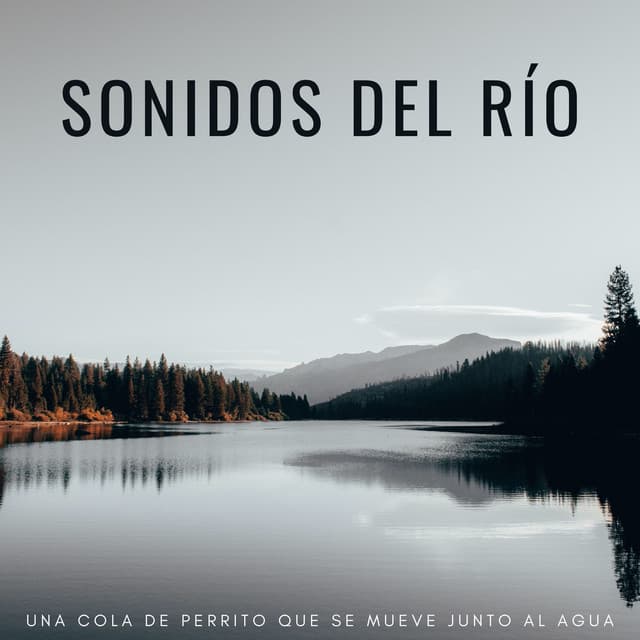 Sonidos Del Río: Una Cola De Perrito Que Se Mueve Junto Al Agua - Sonidos relajantes del agua