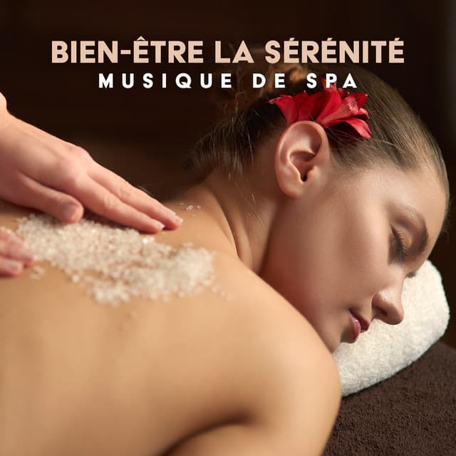 Bien-être la sérénité: Musique de spa, Sons de la nature de l'harmonie, Relaxation profonde - Relaxation Area