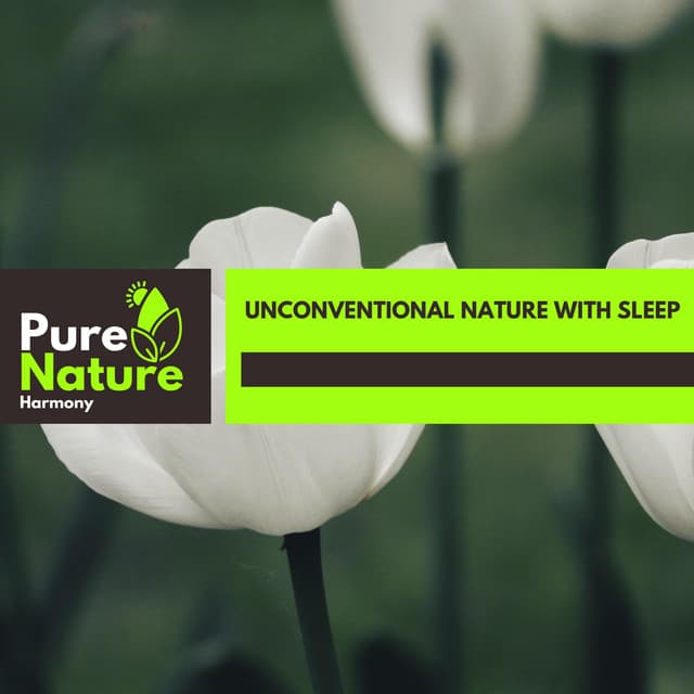 Unconventional Nature With Sleep - Nature Field Recordings