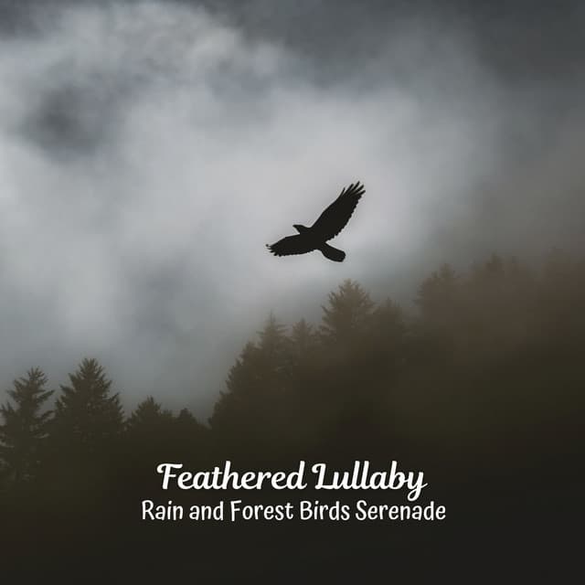 Feathered Lullaby: Rain and Forest Birds Serenade - HD Rain and Water