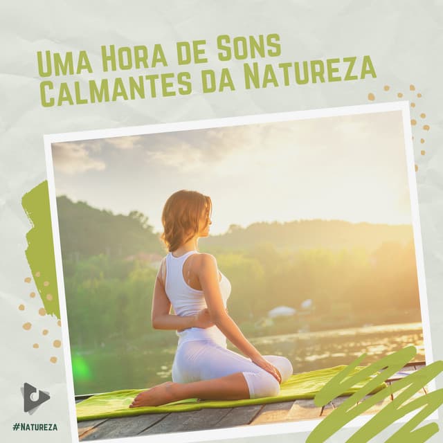 1 Hora de Sons Calmantes da Natureza - #Natureza