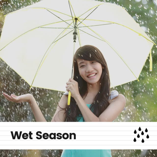 Wet Season - Baby Sleep Rain