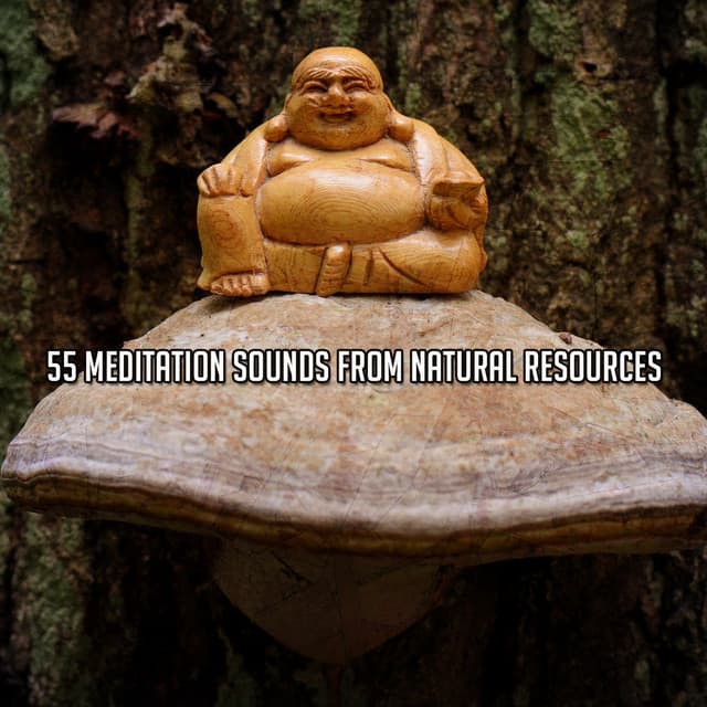 55 Meditation Sounds From Natural Resources - Massage Music