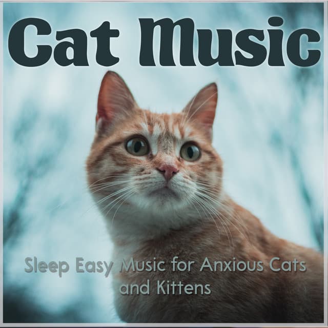 Cat Music: Sleep Easy Music for Anxious Cats and Kittens - Cat Music Dreams