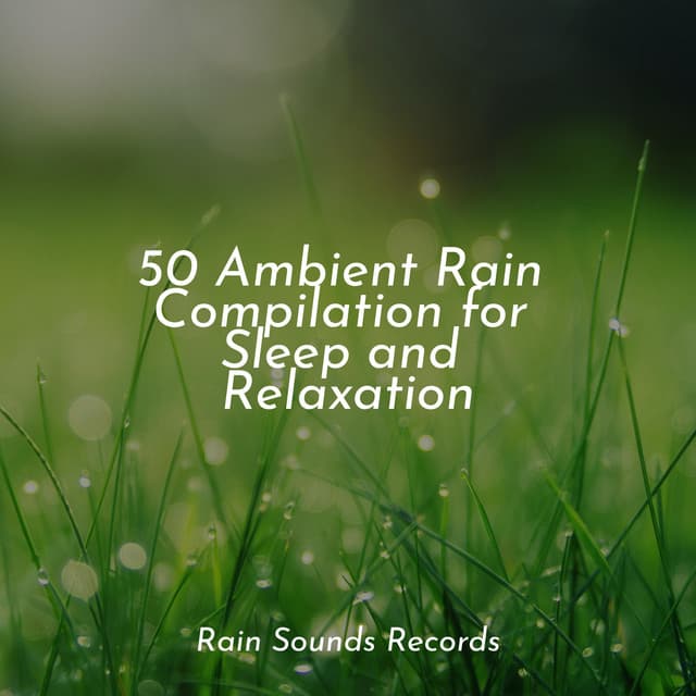 50 Ambient Rain Compilation for Sleep and Relaxation - Nature Sound Series