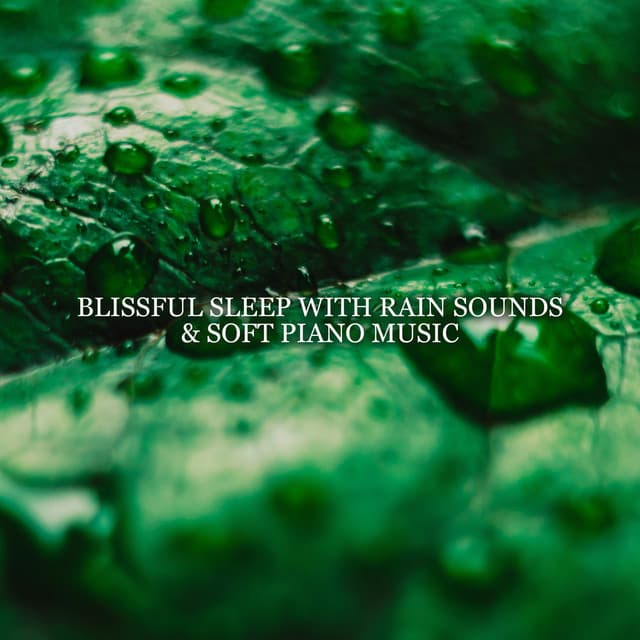 Blissful Sleep with Rain Sounds & Soft Piano Music – Dream Time Music, Piano Lullabies, Music for Deep Sleep, Tension Release, Tranquility, Healing Sounds of Rain - Rain Music!