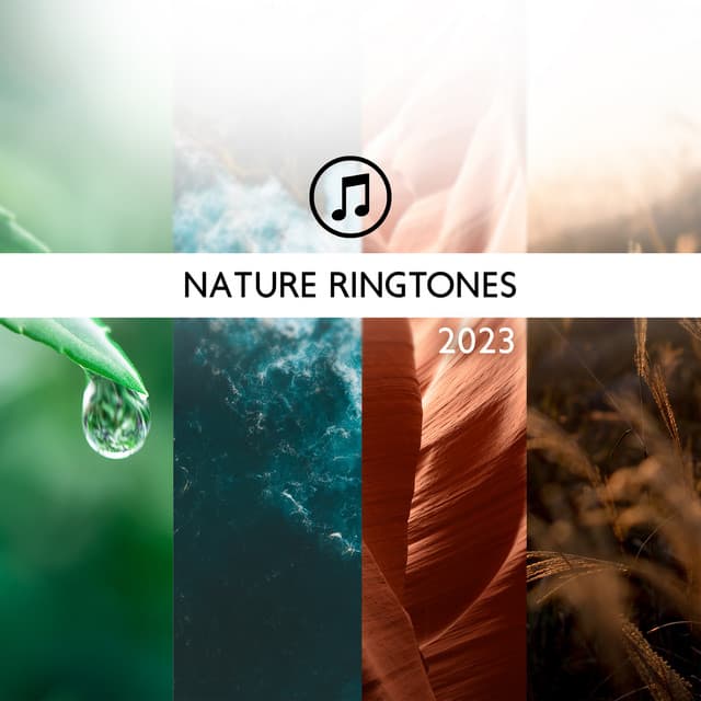 Nature Ringtones 2023: Hang Drum & Ocean Waves & Rain Sounds & Thunderstorm & Forest & Stream & Birds - Sonia White