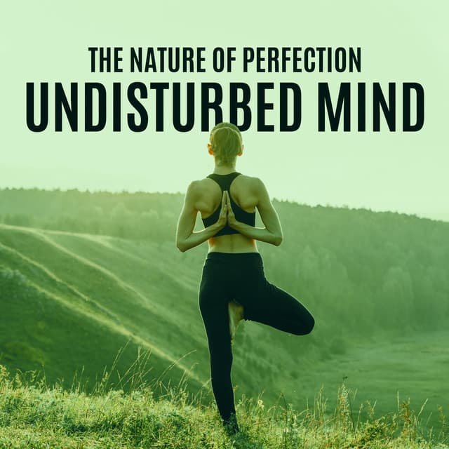 The Nature of Perfection. Undisturbed Mind. Yoga & Meditation - Project!Yoga Meditation
