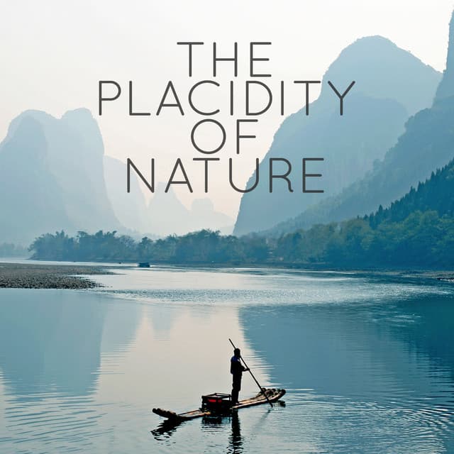 The Placidity of Nature - Ambiance nature