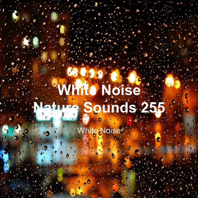 White Noise 255 - White Noise